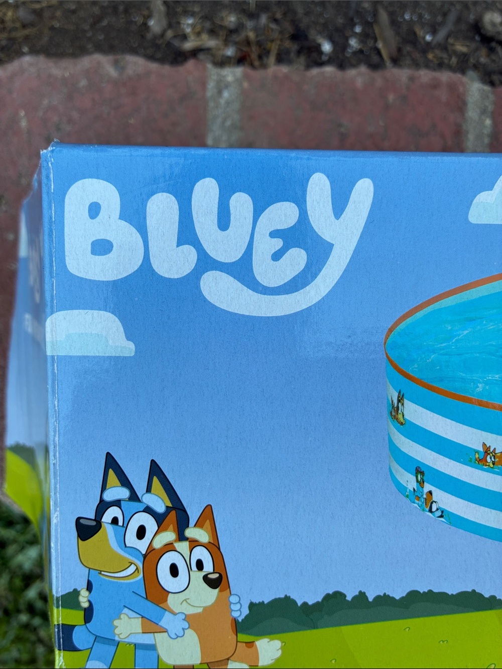 Bluey Fill N Fun Pool - Picture 4 of 5